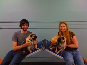Team Pug - Yay! Team Pug - Yay!