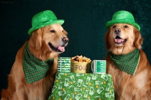 8567927232_11f15fb567_b